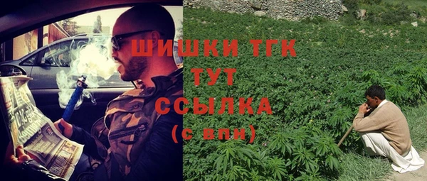 шишки Баксан
