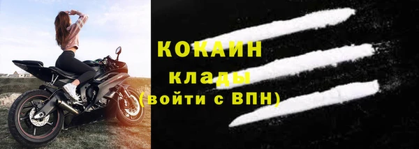 шишки Баксан