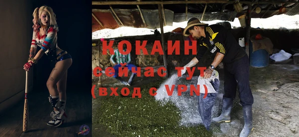 шишки Баксан