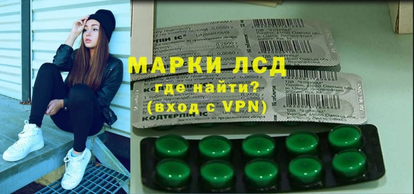 шишки Баксан
