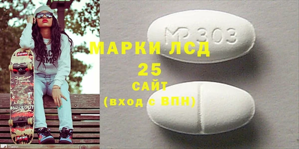 шишки Баксан